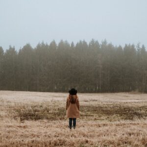 LA CHICA DE DINAMARCA